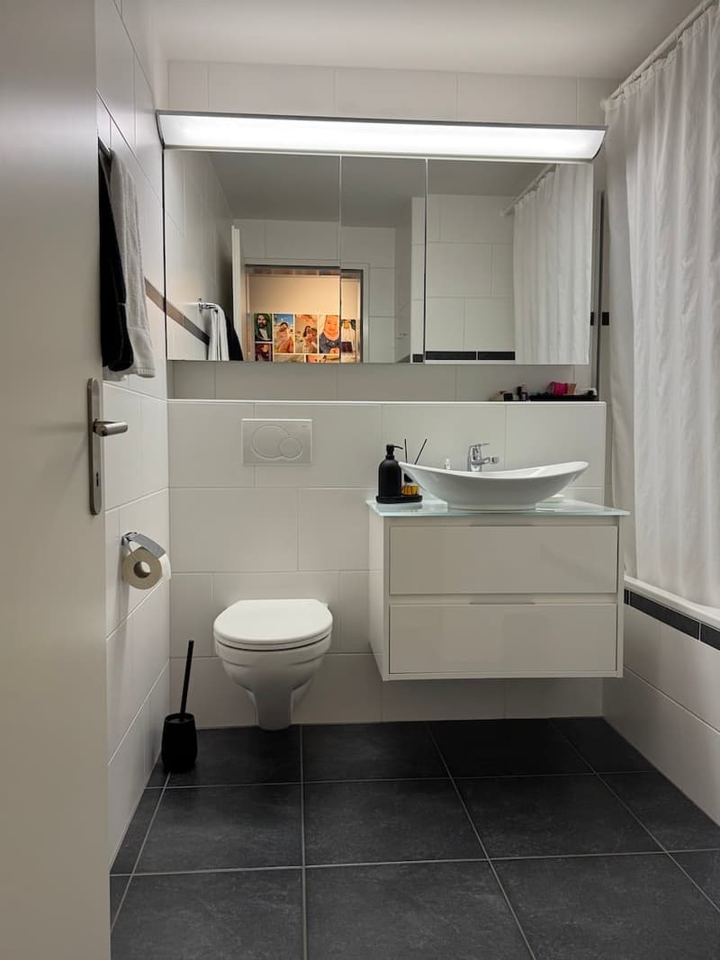 Mint-condition apartment with private laundry room (11)