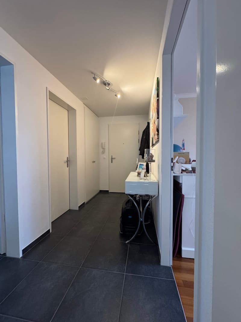 Mint-condition apartment with private laundry room (12)