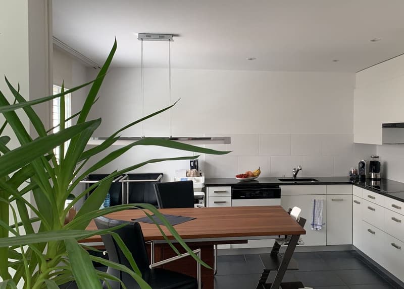 Mint-condition apartment with private laundry room (3)