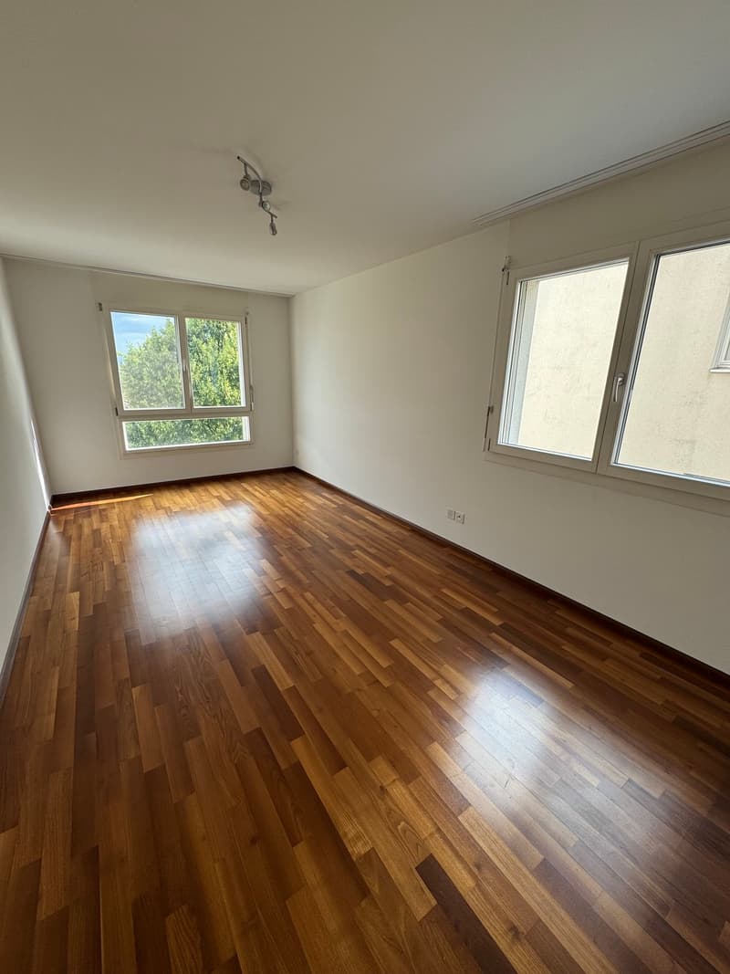 Mint-condition apartment with private laundry room (9)