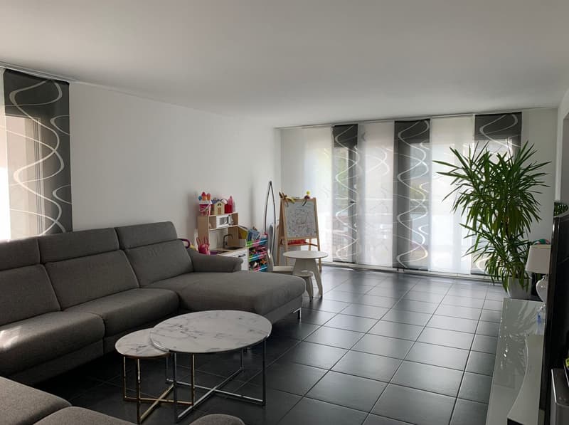 Mint-condition apartment with private laundry room (1)