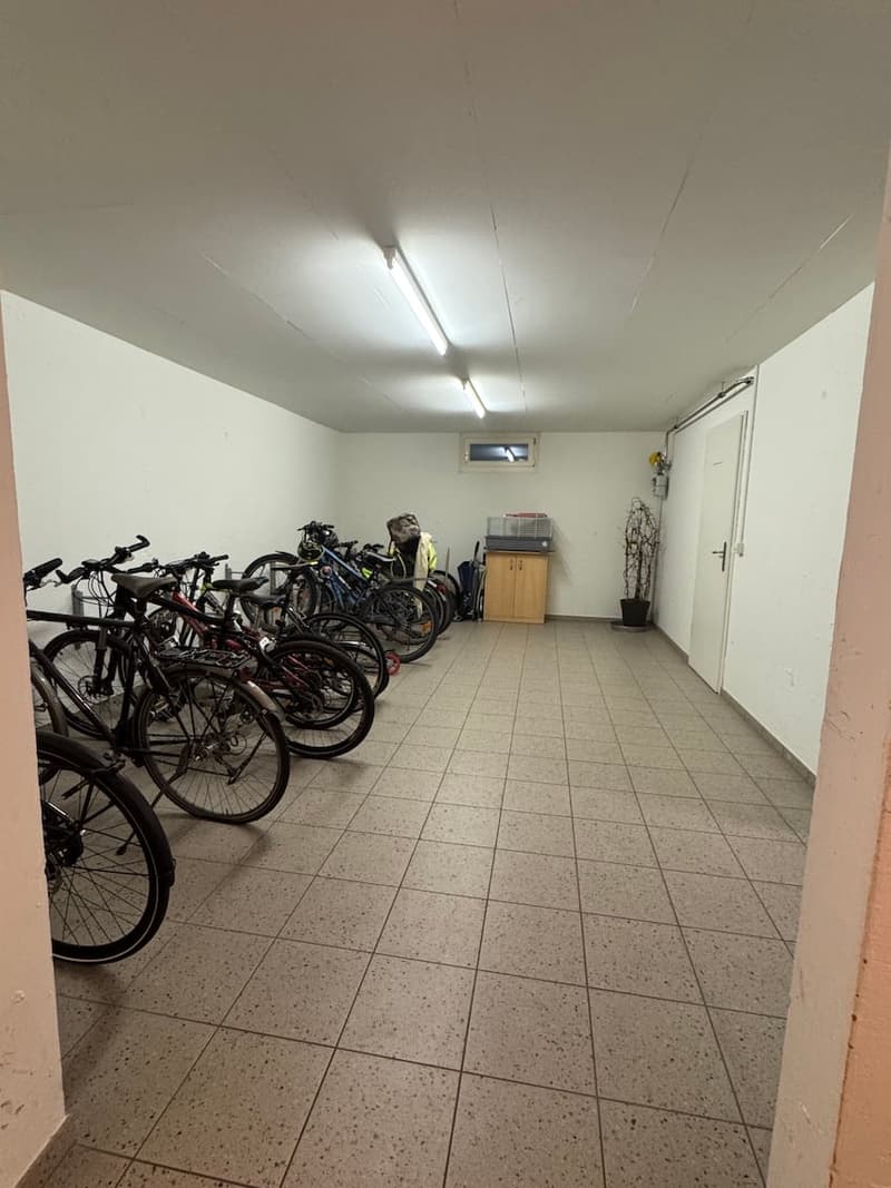 Moderne, neuwertige 3.5 Zimmer Etagenwohnung mit separater Waschküche (13)