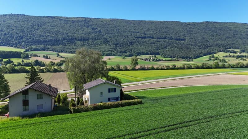 5-Zimmer-EFH freistehend mit schönster Weitsicht ins Grüne (14)