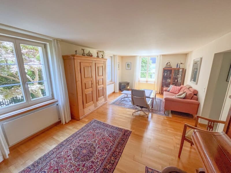 Grosszügiges 5.5-Zimmer-EFH mit grosser Terrasse (5)