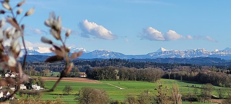 Grosszügiges 4.5-Zi-EFH mit grosser Terrasse mit fantastischer Fernsicht bis zu den Alpen (17)