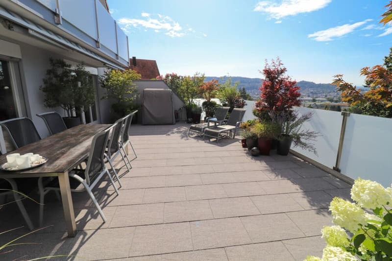 Grosszügiges 4.5-Zi-EFH mit grosser Terrasse mit fantastischer Fernsicht bis zu den Alpen (3)