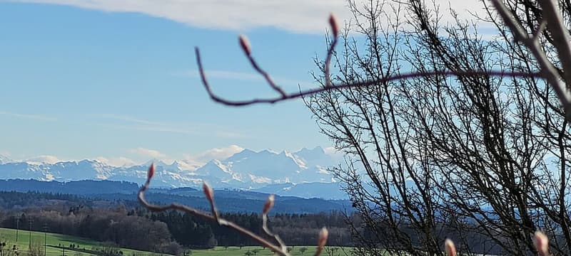 Grosszügiges 4.5-Zi-EFH mit grosser Terrasse mit fantastischer Fernsicht bis zu den Alpen (4)