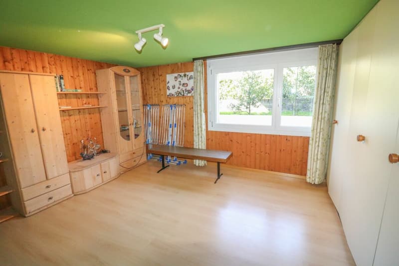5.5-Zi-EFH mit Wintergarten und Zusatzgebäude auf 1'091 m2 grossem Grundstück (9)