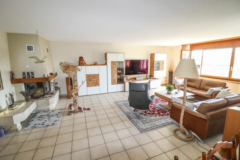7.5-Zi-EFH mit grossem Pool auf 1'104 m2 grossem Grundstück (5)