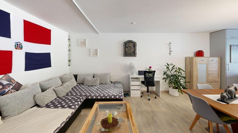 Charmant appartement avec terrasse à Bennwil (7)