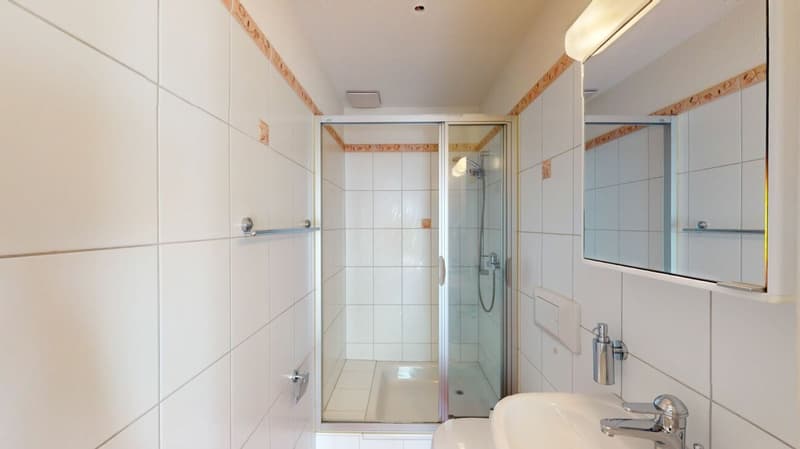 Wohnen an gehobener Lage, mit Weitsicht und grosser Terrasse (13)