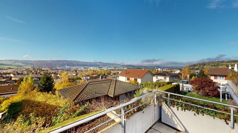 Wohnen an gehobener Lage, mit Weitsicht und grosser Terrasse (4)