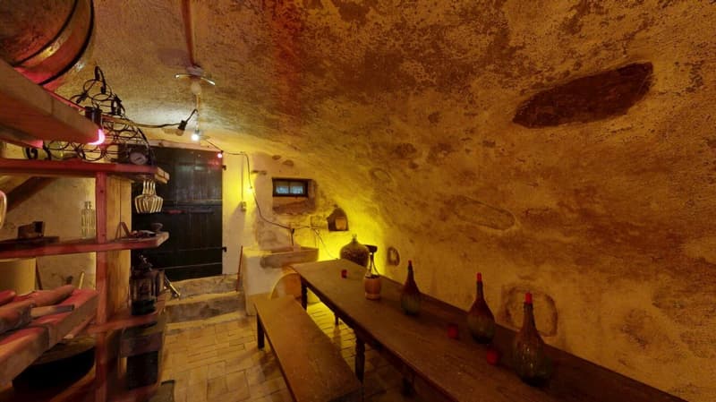 Einzigartiges Liebhaberobjekt mit grosszügiger Garage / Werkstatt (28)