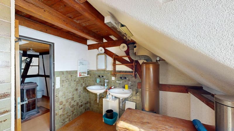 Einzigartiges Liebhaberobjekt mit grosszügiger Garage / Werkstatt (22)