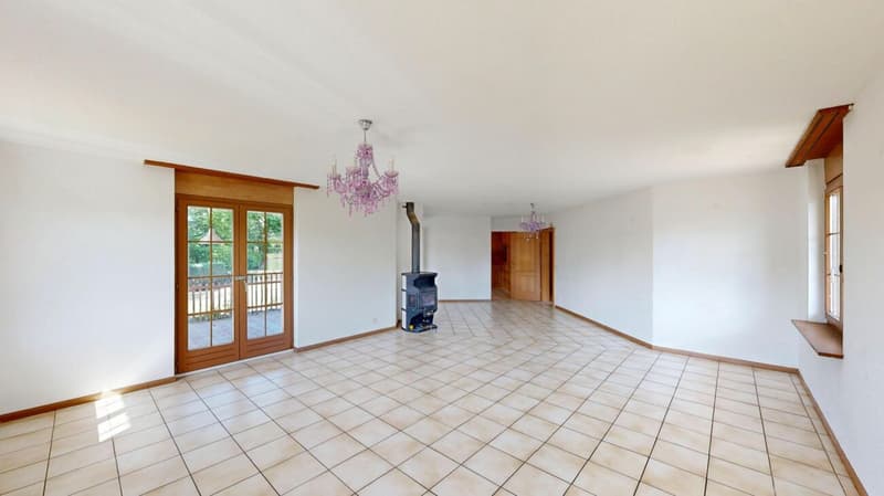 Freistehendes 5.5-Zimmer-Einfamilienhaus mit grossem Garten und vielfältigen Möglichkeiten (5)