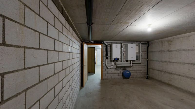Freistehendes 5.5-Zimmer-Einfamilienhaus mit grossem Garten und vielfältigen Möglichkeiten (31)