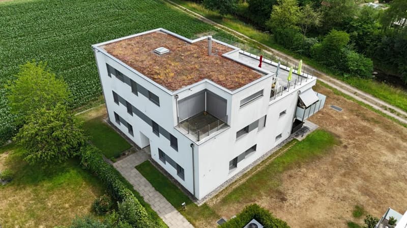 3.5-Zimmer-Gartenwohnung mit exklusivem 245 m² Garten und gedeckter Terrasse (22)