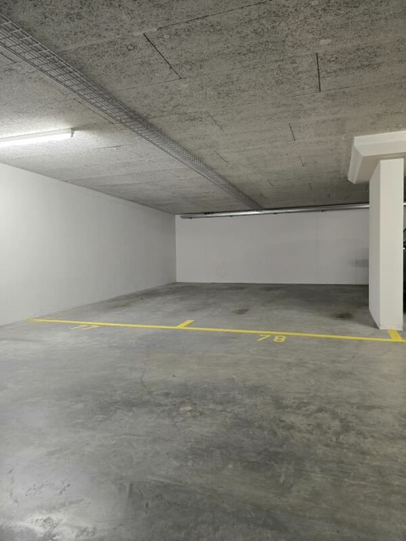 Helle, moderne Wohnung mit besten Verkehrsanbindungen (17)
