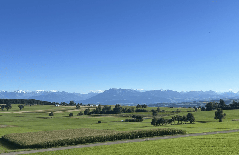 EXKLUSIVES FAMILIENIDYLL - ERSTKLASSIGE LAGE TRIFFT AUF ALPINES PANORAMA (3)
