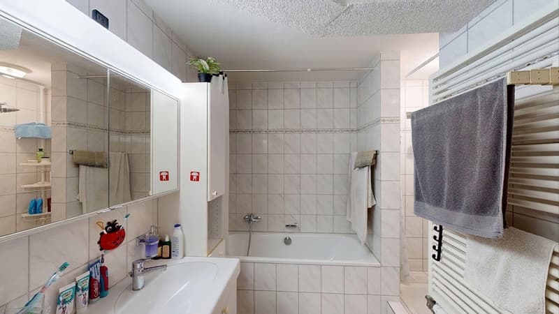 Viel Platz für Ihre Wohnträume – Reihen-Einfamilienhaus in Tegerfelden (12)