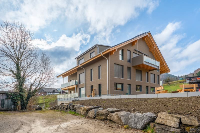 Moderne 4.5-Zimmer-Wohnung mit atemberaubendem Bergblick in Mühlethurnen (24)