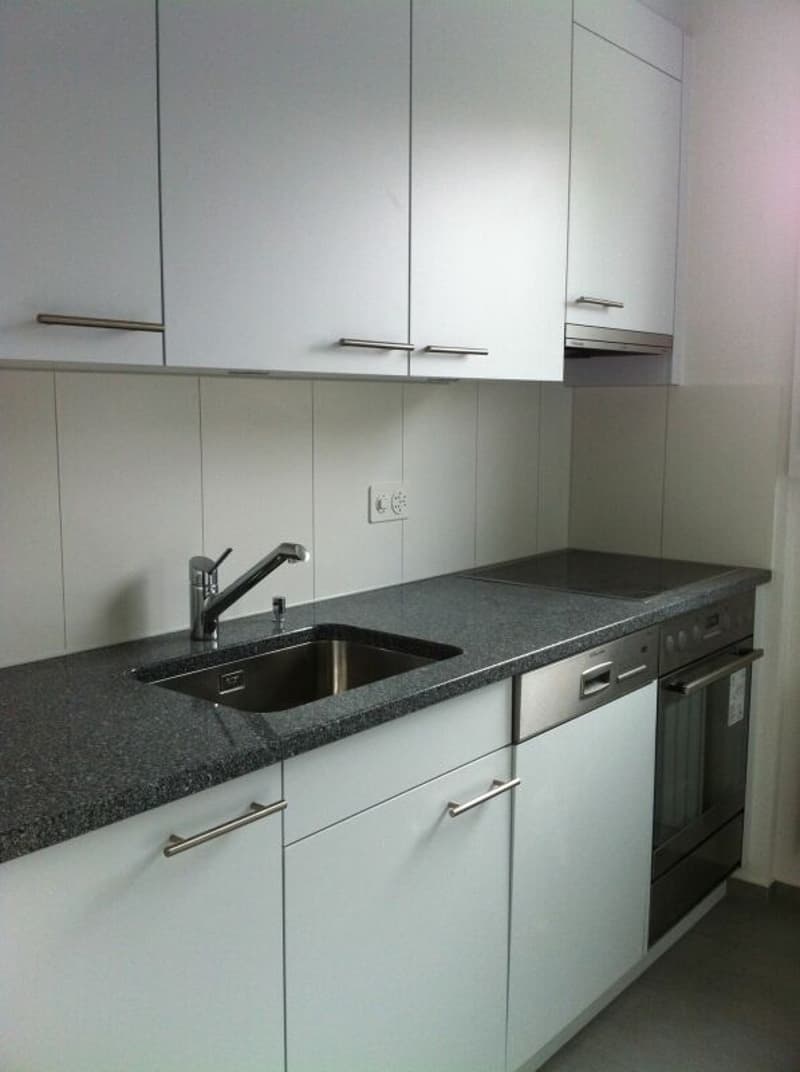 Frisch renovierte 4.5-Zimmerwohnung mit Balkon an zentraler Lage zu vermieten (8)