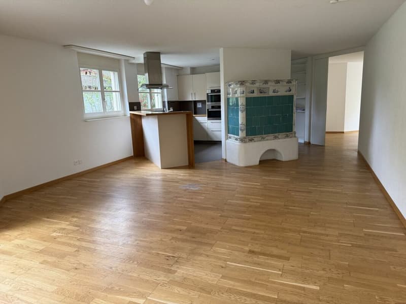 Top 8-Zimmer-Doppeleinfamilienhaus inkl. Dachwohnung (6)