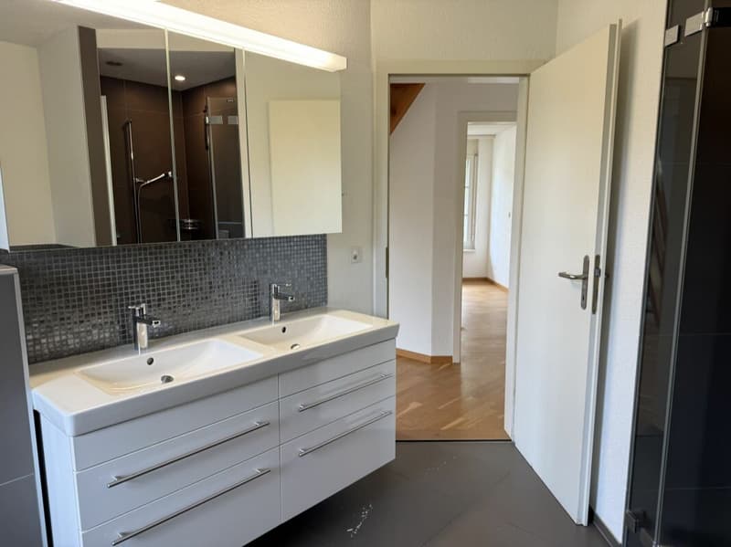 Top 8-Zimmer-Doppeleinfamilienhaus inkl. Dachwohnung (10)