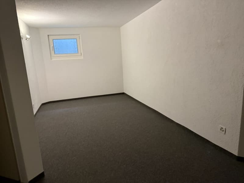 Top 8-Zimmer-Doppeleinfamilienhaus inkl. Dachwohnung (13)