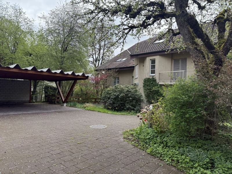 Top 8-Zimmer-Doppeleinfamilienhaus inkl. Dachwohnung (15)