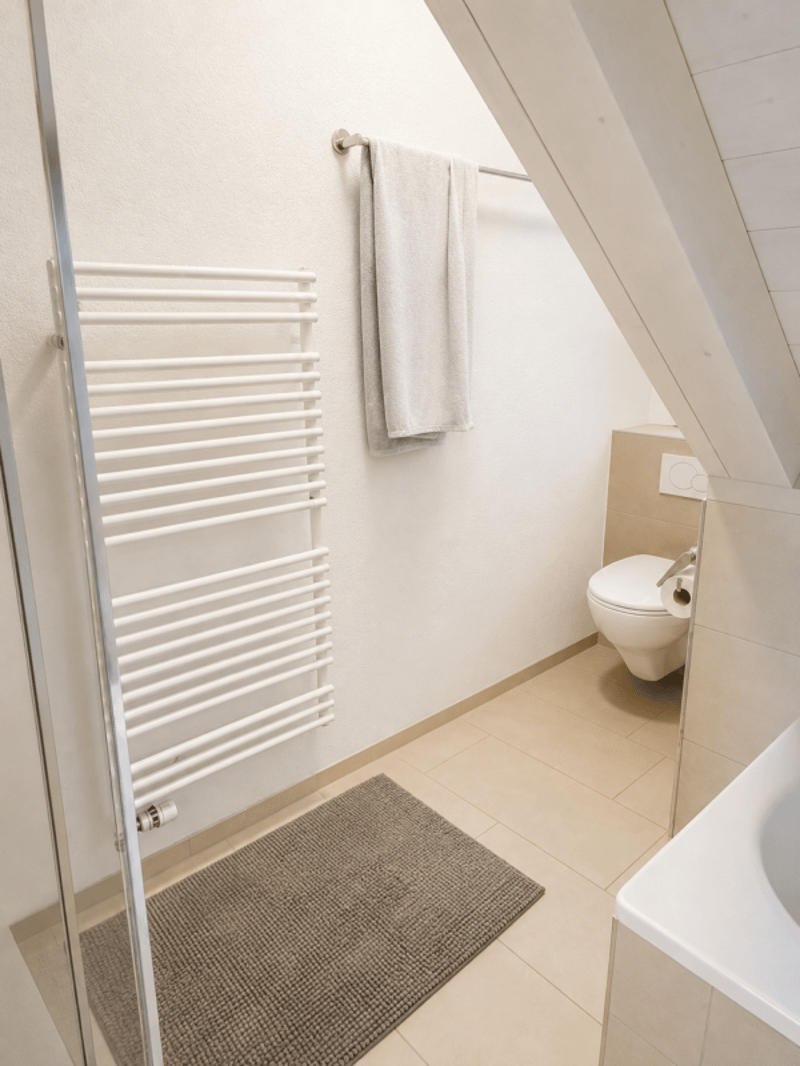 3.5-Zimmerwohnung im Dachgeschoss zu vermieten (17)