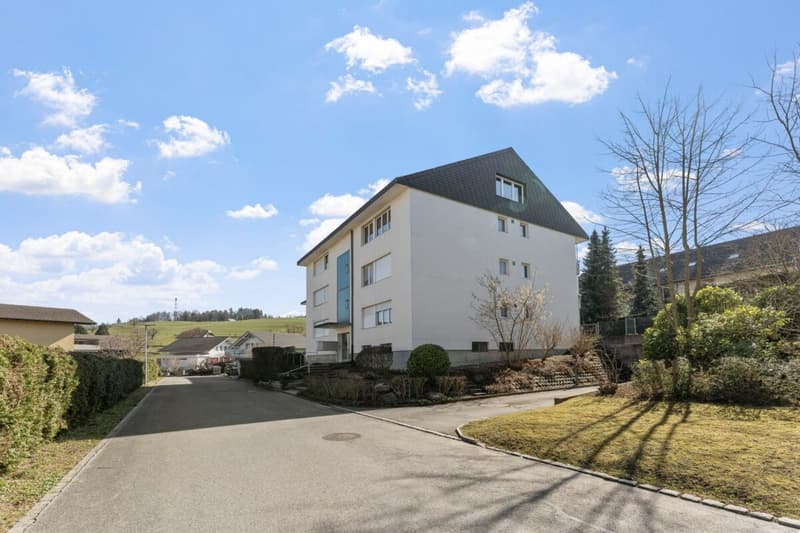 4.5-Zimmerwohnung im Hochparterre mit Gartensitzplatz zu vermieten (12)