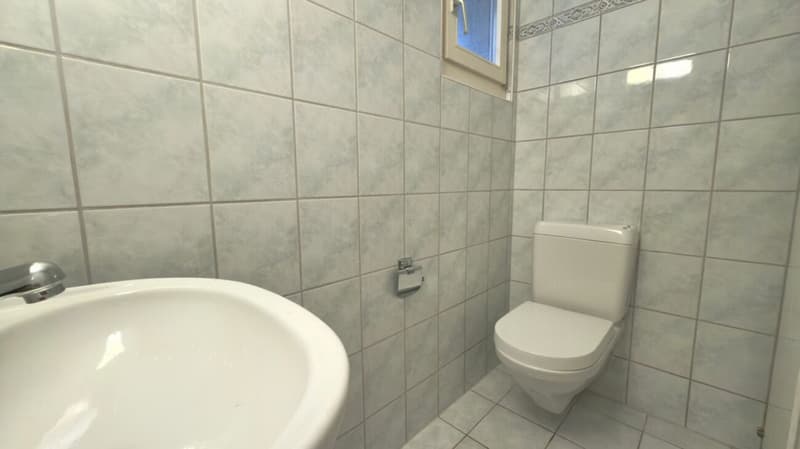 Gäste-WC im Untergeschoss