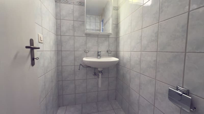 Gäste-WC im Untergeschoss