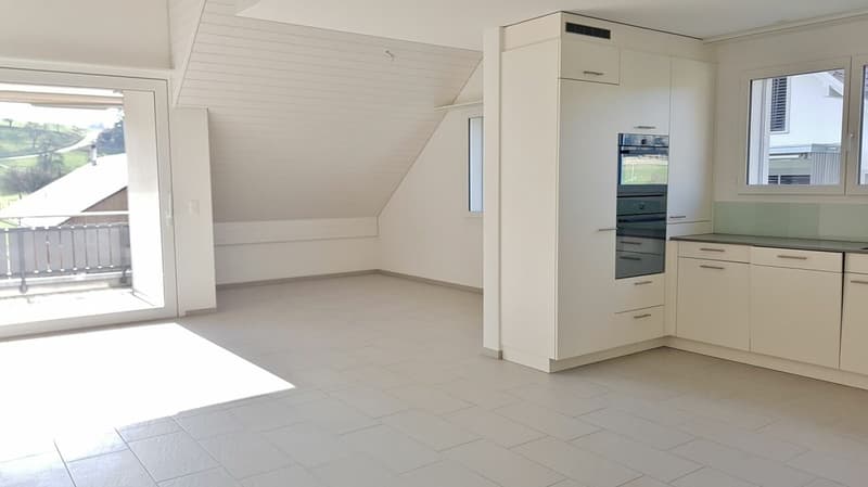 Moderne 4.5-Zimmer-Maisonette-Dachwohnung mit Galerie, zwei Bädern und sonnigem Balkon (2)