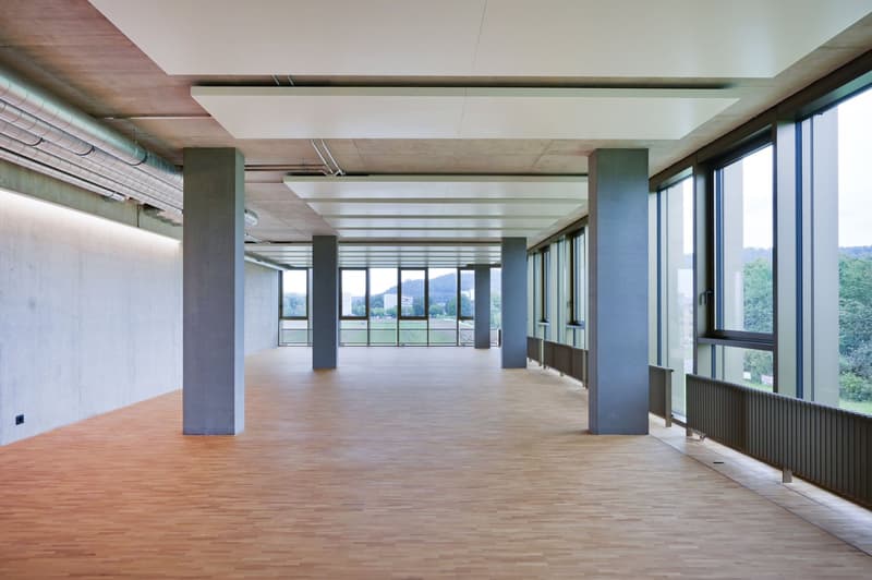 Empty room with wooden floor, concrete walls, large windows, and metal columns