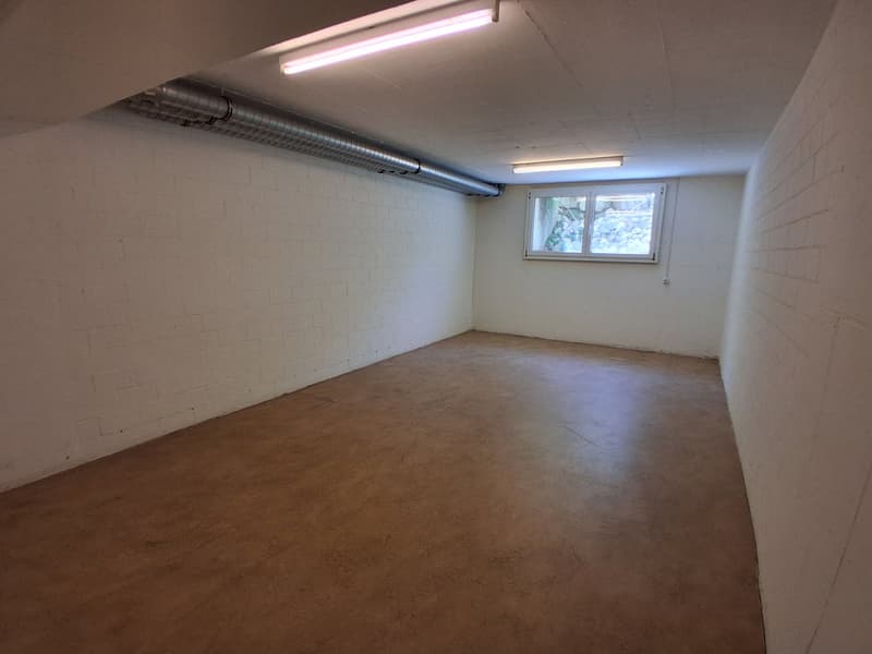 Disporaum gesucht? (3)