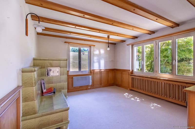 Einfamilienhaus mit Renovationspotential, direkt angrenzend an die Lan (6)