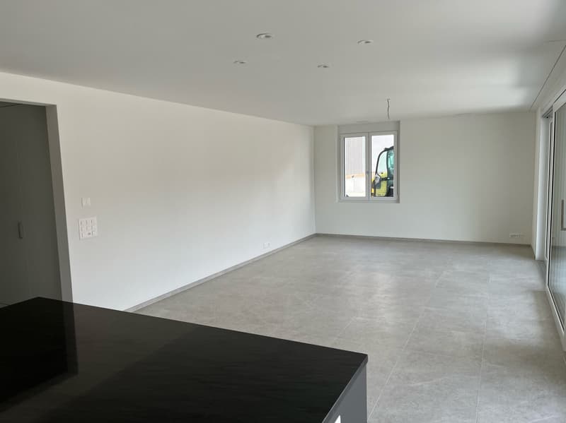 Attraktive, moderne (fast neue) 3½ Zimmerwohnung (4)