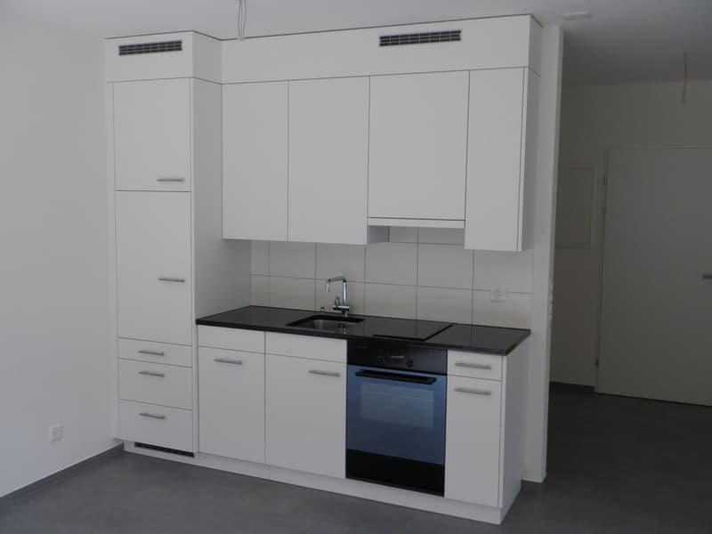 gepflegte 1.5 Zimmerwohnung (1)