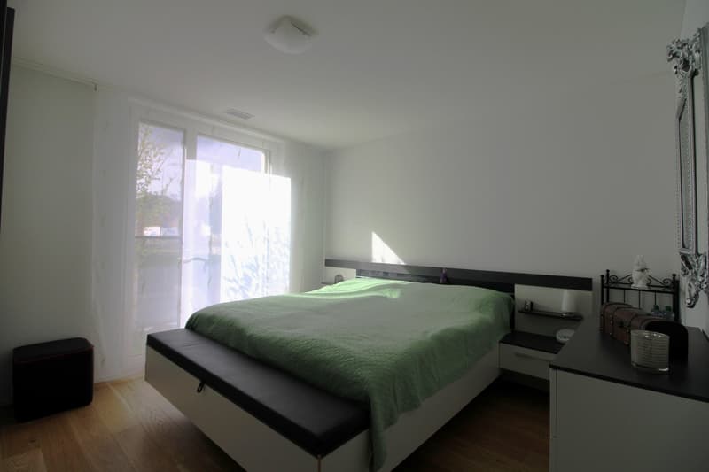 Moderne und hochwertige Gartenwohnung (5)