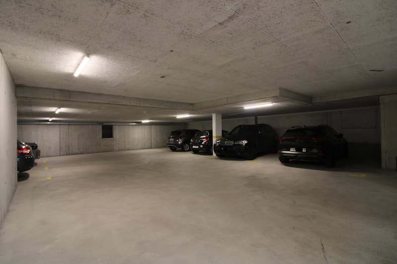 Moderne und hochwertige Gartenwohnung (13)
