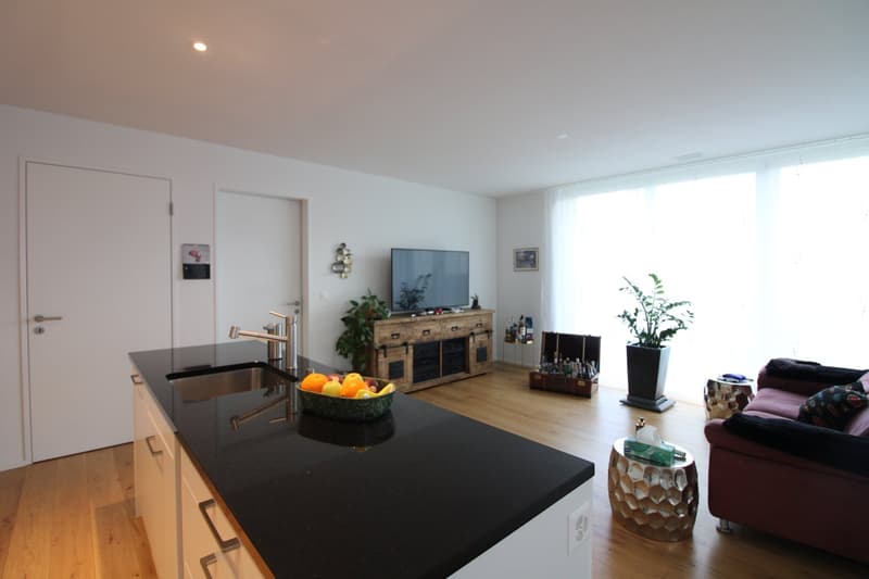 Moderne und hochwertige Gartenwohnung (3)