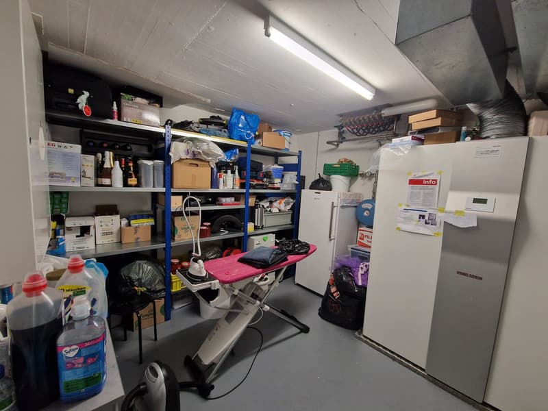 Grosszügige 4.5 Zimmer Gartenwohnung (13)