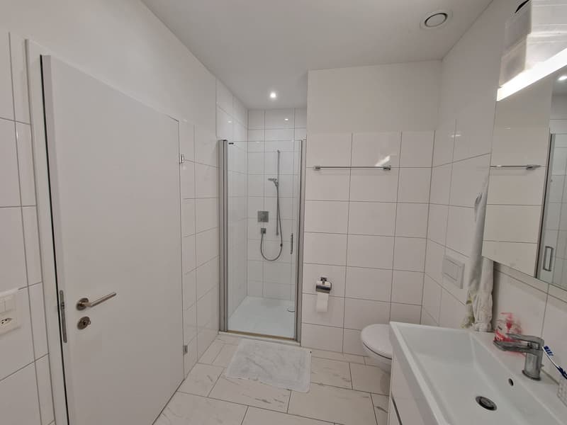 Grosszügige 4.5 Zimmer Gartenwohnung (12)