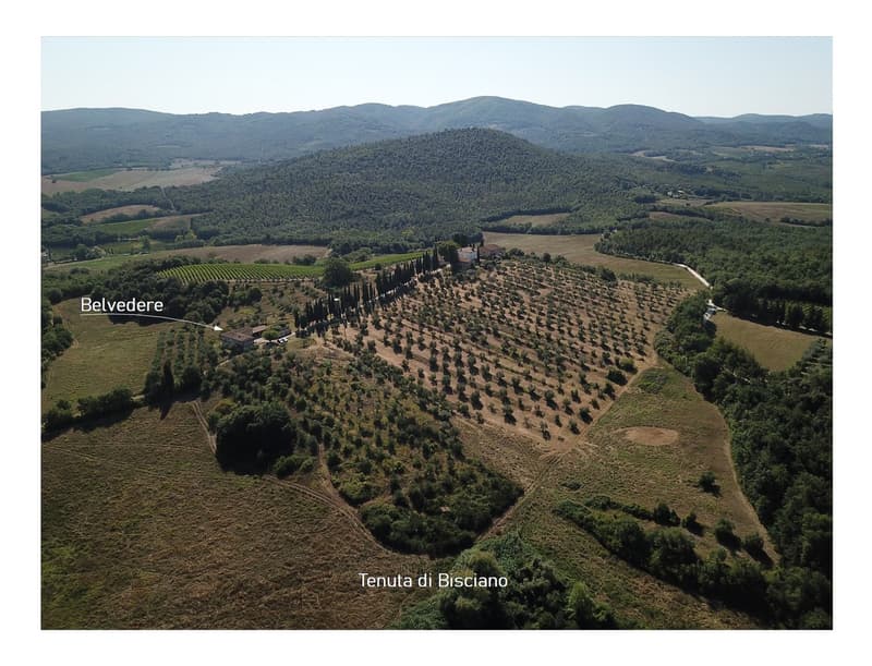 The image shows an aerial view of a large rural estate in a hilly, forested area. The estate includes a vineyard, an olive grove, and a central building or villa surrounded by other structures. The landscape is characterized by rolling hills, forests, and