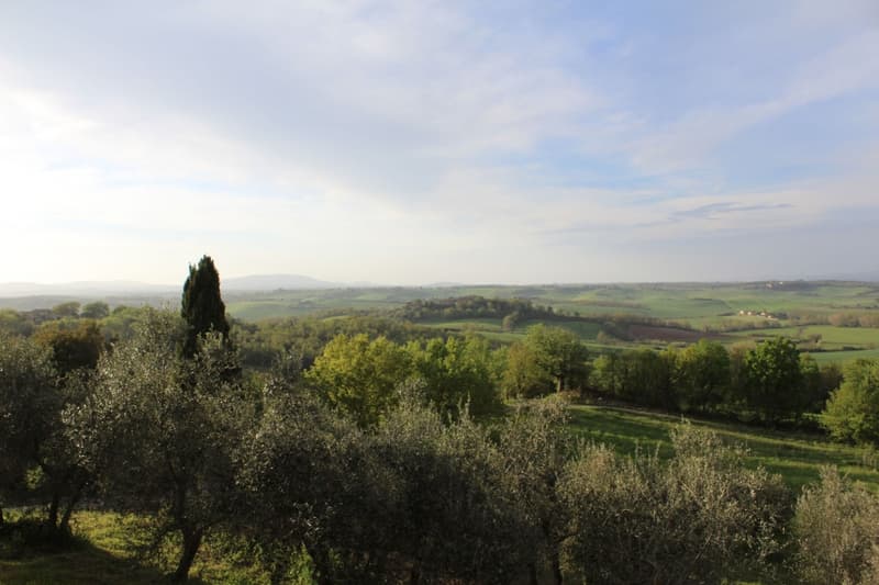 Scenic countryside view with rolling hills, green fields, and trees in the foreground. The landscape is dotted with small buildings and a cypress tree in the distance. The sky is partly cloudy, creating a peaceful and picturesque scene.