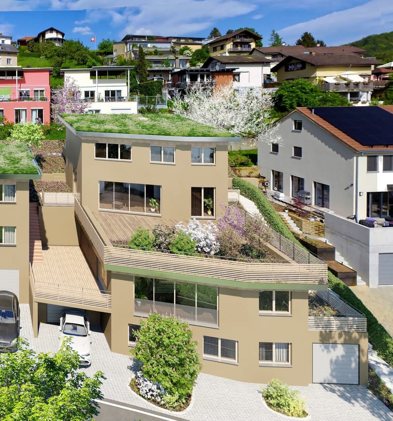 Neubau-5.5 Zi. Einfamilienhaus mit Sonnenterrasse (1)