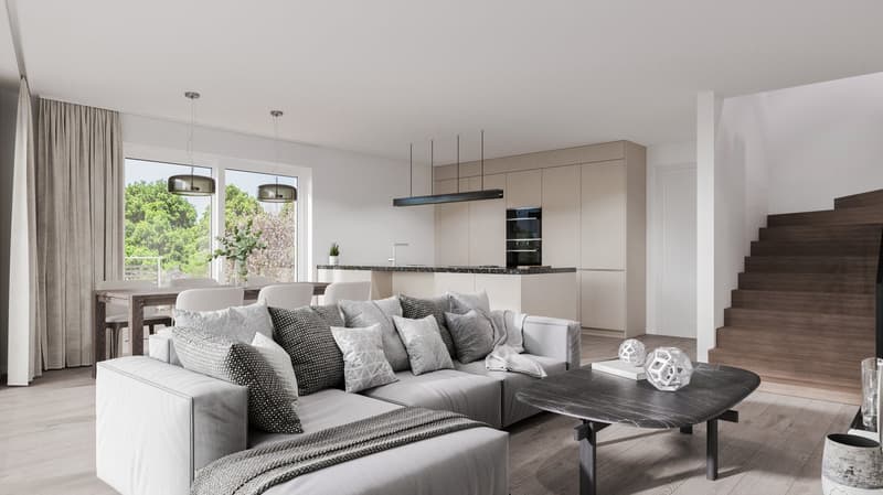 Neubau-5.5 Zi. Einfamilienhaus mit Sonnenterrasse (5)