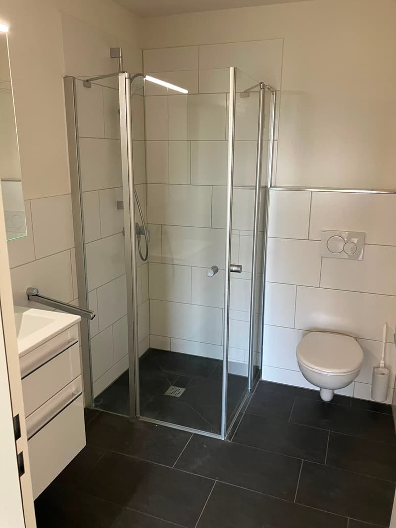 Helle 3.5-Zimmer-Wohnung mit Balkon in Egliswil (4)